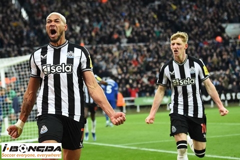 Newcastle United vs Manchester City 0h30 ngày 23/11