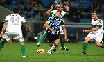 Coritiba (PR) 4 - 0 Gremio (RS) (Brazil 2013, vòng 31)